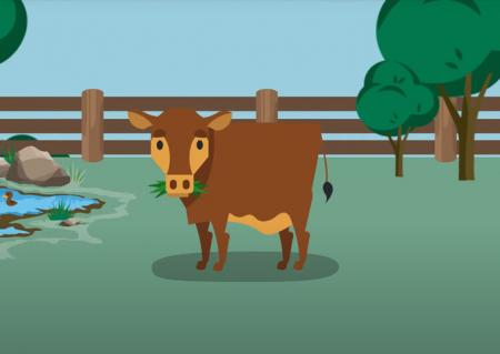 Uma nova animação da Meat & Livestock Australia apresenta uma explicação clara do ciclo do carbono